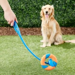 Chuckit! Ultra Ring Launcher Fetch Dog Toy 10 Chuckit! Ultra Ring Launcher Fetch Dog Toy -Pet Dog Toys 145393 PT2. AC SS1800 V1550270847