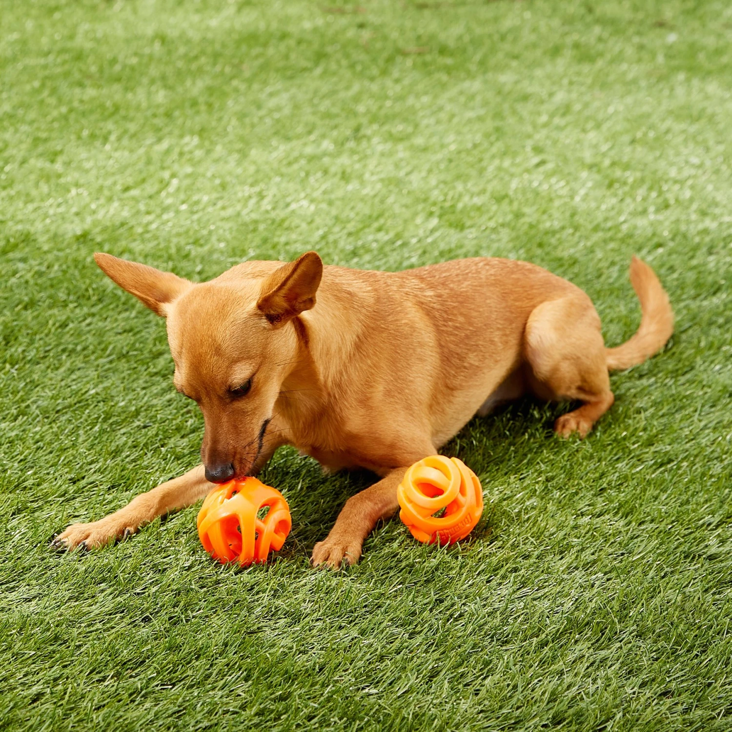 Chuckit! Air Fetch Ball 2-Pack Dog Toy 5 Chuckit! Air Fetch Ball 2-Pack Dog Toy - Image 3