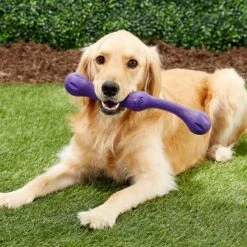 West Paw Echo Collection Zwig Dog Toy -Pet Dog Toys 145940 PT3. AC SS1800 V1545251825