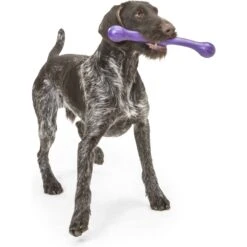 West Paw Echo Collection Zwig Dog Toy -Pet Dog Toys 145940 PT7. AC SS1800 V1529009793