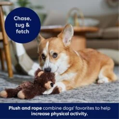 Frisco Bear Plush With Inside Rope Squeaky Dog Toy 12 Frisco Bear Plush With Inside Rope Squeaky Dog Toy -Pet Dog Toys 147061 PT4. AC SS1800 V1695659155