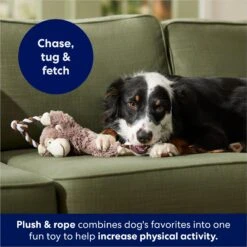 Frisco Monkey Plush With Rope Squeaky Dog Toy 10 Frisco Monkey Plush With Rope Squeaky Dog Toy -Pet Dog Toys 147067 PT4. AC SS1800 V1686079871