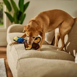 Frisco Duck Flat Plush Squeaky Dog Toy -Pet Dog Toys 147069 PT3. AC SS1800 V1674158058