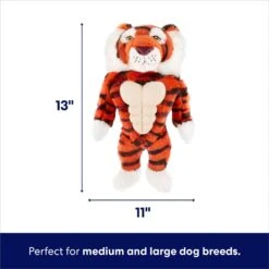 Frisco Tiger Muscle Plush Squeaky Dog Toy -Pet Dog Toys 147080 PT1. AC SS1800 V1695670749