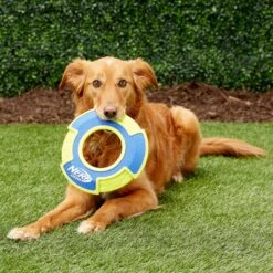 Nerf Dog Nylon & Foam Mega Tuff Fabric Flyer Dog Toy -Pet Dog Toys 148504 PT2. AC SS1800 V1545252444