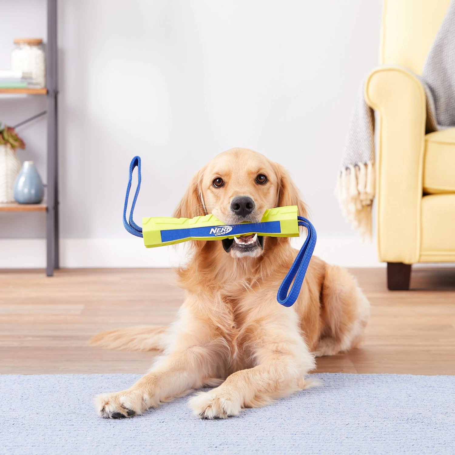 Nerf Dog Nylon & Foam Mega Tuff Fabric Competition Stick Dog Toy 4 Nerf Dog Nylon & Foam Mega Tuff Fabric Competition Stick Dog Toy - Image 2