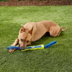 Nerf Dog Nylon & Foam Mega Tuff Fabric Competition Stick Dog Toy 8 Nerf Dog Nylon & Foam Mega Tuff Fabric Competition Stick Dog Toy -Pet Dog Toys 148508 PT2. AC SS1800 V1545252470