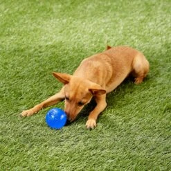 Nerf Dog Ultra Tough TPR Ball Dog Toy -Pet Dog Toys 148518 PT1. AC SS1800 V1545252547