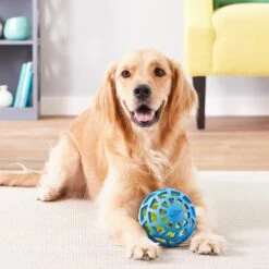 Nerf Dog EXO Treat Dispensing Ball Dog Toy -Pet Dog Toys 148523 PT7. AC SS1800 V1545252610