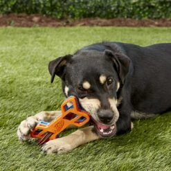 Nerf Dog EXO Treat Dispensing Bone Dog Toy 15 Nerf Dog EXO Treat Dispensing Bone Dog Toy -Pet Dog Toys 148525 PT5. AC SS1800 V1531938420