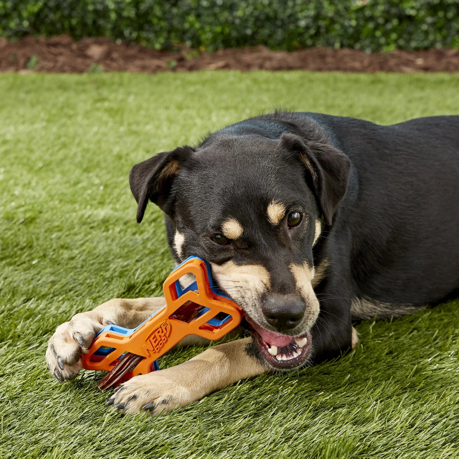 Nerf Dog EXO Treat Dispensing Bone Dog Toy 8 Nerf Dog EXO Treat Dispensing Bone Dog Toy - Image 6