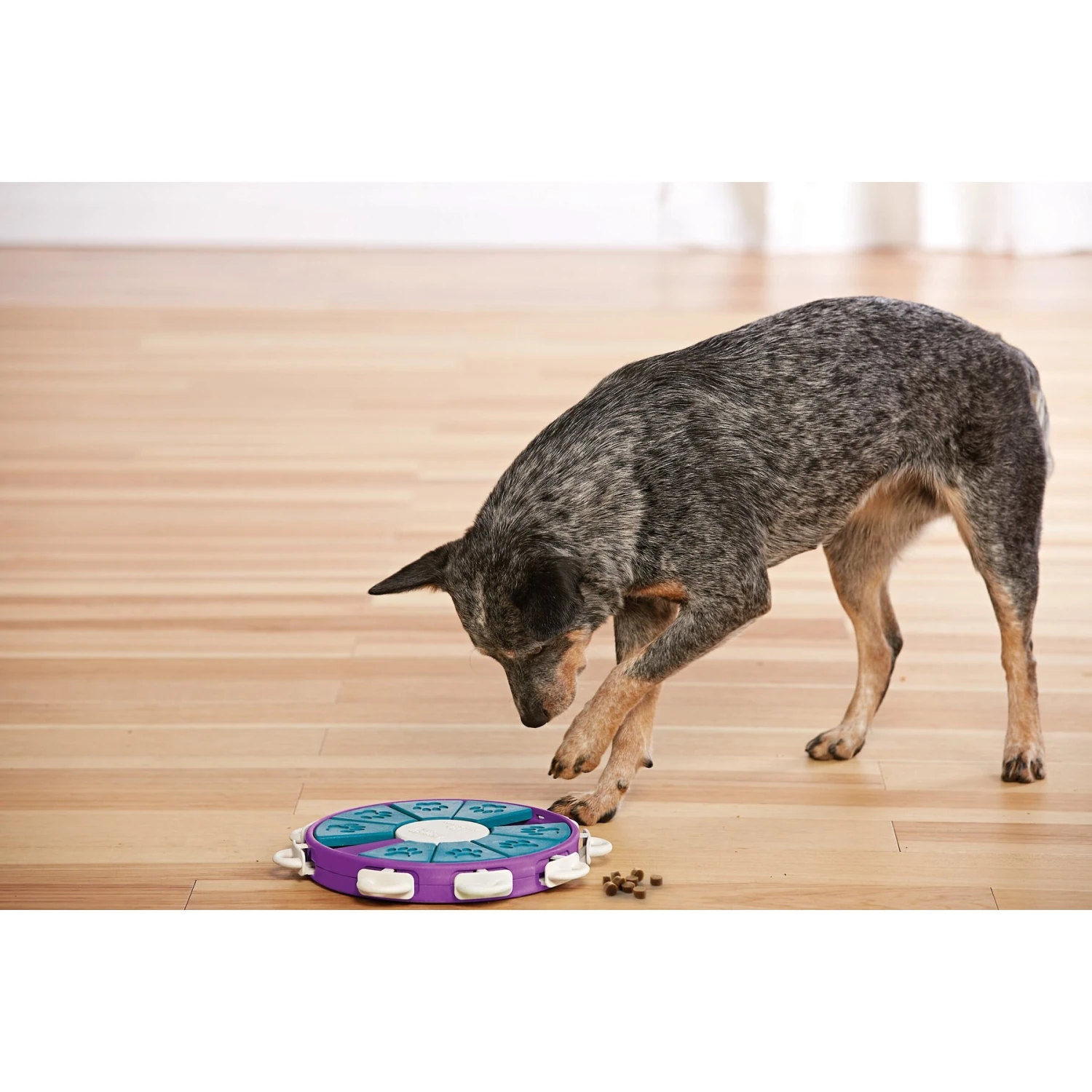 Nina Ottosson By Outward Hound Twister Puzzle Game Dog Toy 9 Nina Ottosson By Outward Hound Twister Puzzle Game Dog Toy - Image 7