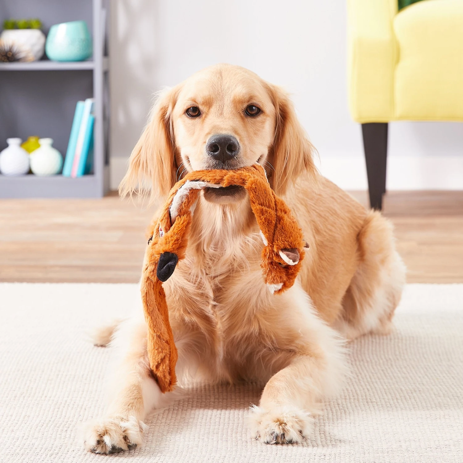 Ethical Pet Skinneeez Extreme Quilted Chimpmunk Stuffing-Free Squeaky Plush Dog Toy 4 Ethical Pet Skinneeez Extreme Quilted Chimpmunk Stuffing-Free Squeaky Plush Dog Toy - Image 2