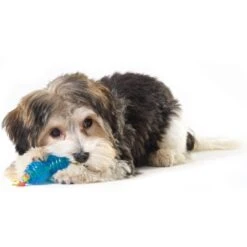 Outward Hound Orka Chew Pair Dog Toy -Pet Dog Toys 152316 PT3. AC SS1800 V1631690497