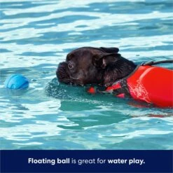 Frisco Foam Rubber Floating Fetch Ball No Squeak Dog Toy -Pet Dog Toys 152798 PT3. AC SS1800 V1686579688