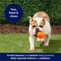 Frisco Fetch Squeaky TPR Ball Dog Toy -Pet Dog Toys 152801 PT4. AC SS1800 V1686580091