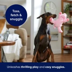 Frisco Corduroy Plush Squeaking Pig Dog Toy 12 Frisco Corduroy Plush Squeaking Pig Dog Toy -Pet Dog Toys 152832 PT4. AC SS1800 V1695671001