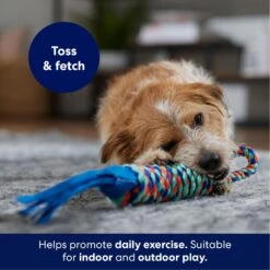 Frisco Rope With Handle & Tassels Dog Toy -Pet Dog Toys 152840 PT3. AC SS1800 V1695241916