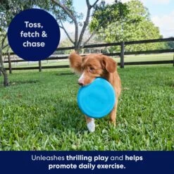 Frisco Fetch Rubber Flyer Dog Toy -Pet Dog Toys 152848 PT5. AC SS1800 V1692370079
