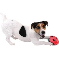 Nerf Dog Bash Crunch Football Dog Toy -Pet Dog Toys 154011 PT3. AC SS1800 V1539696423