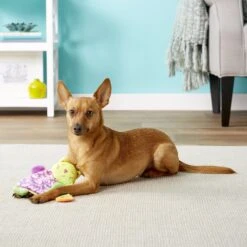 Ethical Pet Lil Spots Squeaky Plush Blanket Puppy Toy 10 Ethical Pet Lil Spots Squeaky Plush Blanket Puppy Toy -Pet Dog Toys 154203 PT2. AC SS1800 V1554127514