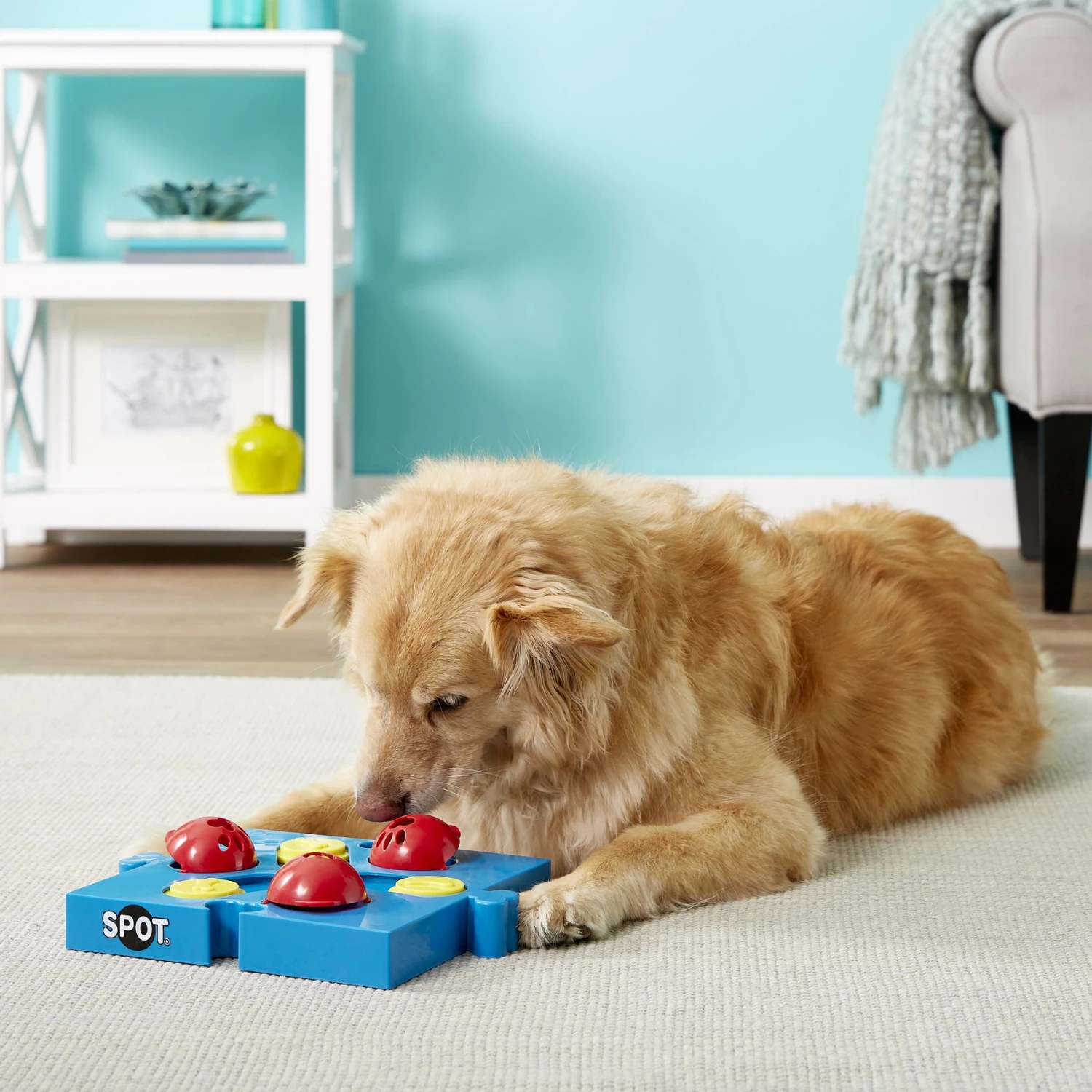 Ethical Pet Seek-A-Treat Flip N Slide Puzzle Dog Toy 4 Ethical Pet Seek-A-Treat Flip N Slide Puzzle Dog Toy - Image 2