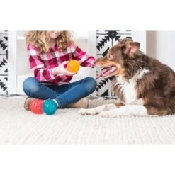 ZippyPaws ZippyTuff Squeaker Ball Dog Toy -Pet Dog Toys 155451 PT2. AC SS1800 V1545163315