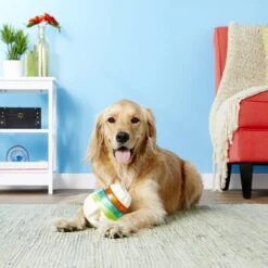 JW Pet Treat Tower Dog Toy -Pet Dog Toys 156362 PT1. AC SS1800 V1558557786