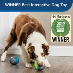PetSafe Ricochet Interactive Sound Game Dog Toy -Pet Dog Toys 159052 PT3. AC SS1800 V1599844580