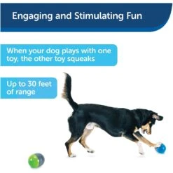 PetSafe Ricochet Interactive Sound Game Dog Toy -Pet Dog Toys 159052 PT5. AC SS1800 V1599844596