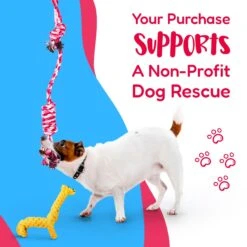 Pacific Pups Rescue Assorted Rope Dog Toys -Pet Dog Toys 159359 PT2. AC SS1800 V1701935706
