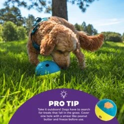 Nina Ottosson By Outward Hound Treat Tumble Puzzle Game Dog Toy -Pet Dog Toys 159436 PT3. AC SS1800 V1694287367