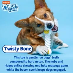 Hartz Chew 'n Clean Twisty Bone Bacon Scented Flexible Dog Chew Toy -Pet Dog Toys 161034 PT4. AC SS1800 V1667337299