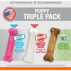 Nylabone Puppy Chew Variety Toy & Treat Triple Pack -Pet Dog Toys 161311 PT2. AC SS1800 V1688152624