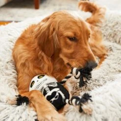 Frisco Halloween Skeleton Plush With Rope Squeaky Dog Toy 9 Frisco Halloween Skeleton Plush With Rope Squeaky Dog Toy -Pet Dog Toys 161358 PT6. AC SS1800 V1597599370