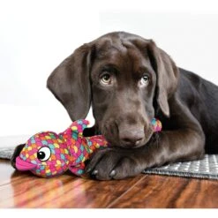 KONG Wubba Finz Dog Toy 9 KONG Wubba Finz Dog Toy -Pet Dog Toys 161869 PT2. AC SS1800 V1631769991