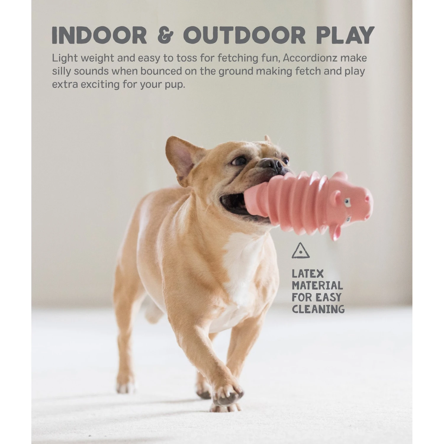 Outward Hound Accordionz Gator Stuffing-Free Squeaky Dog Toy 6 Outward Hound Accordionz Gator Stuffing-Free Squeaky Dog Toy - Image 4