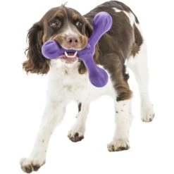 West Paw Skamp Fetch Dog Toy -Pet Dog Toys 162683 PT2. AC SS1800 V1552919912