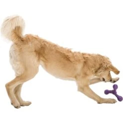 West Paw Skamp Fetch Dog Toy -Pet Dog Toys 162683 PT3. AC SS1800 V1552919913