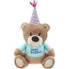 Frisco Birthday Bear Plush Squeaky Dog Toy