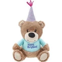 Frisco Birthday Bear Plush Squeaky Dog Toy