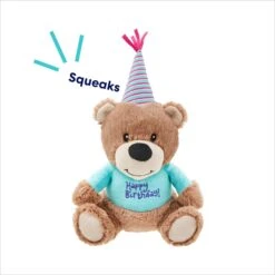 Frisco Birthday Bear Plush Squeaky Dog Toy -Pet Dog Toys 162836 PT2. AC SS1800 V1695659146