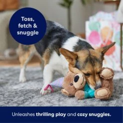 Frisco Birthday Bear Plush Squeaky Dog Toy -Pet Dog Toys 162836 PT4. AC SS1800 V1695670999