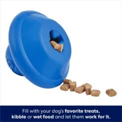 Frisco Flying Saucer Rubber Treat Dispenser Dog Toy 12 Frisco Flying Saucer Rubber Treat Dispenser Dog Toy -Pet Dog Toys 164757 PT3. AC SS1800 V1686579570