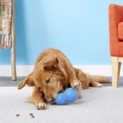 Frisco Snowman Rubber Treat Dispenser Dog Toy -Pet Dog Toys 164769 PT4. AC SS1800 V1563808954