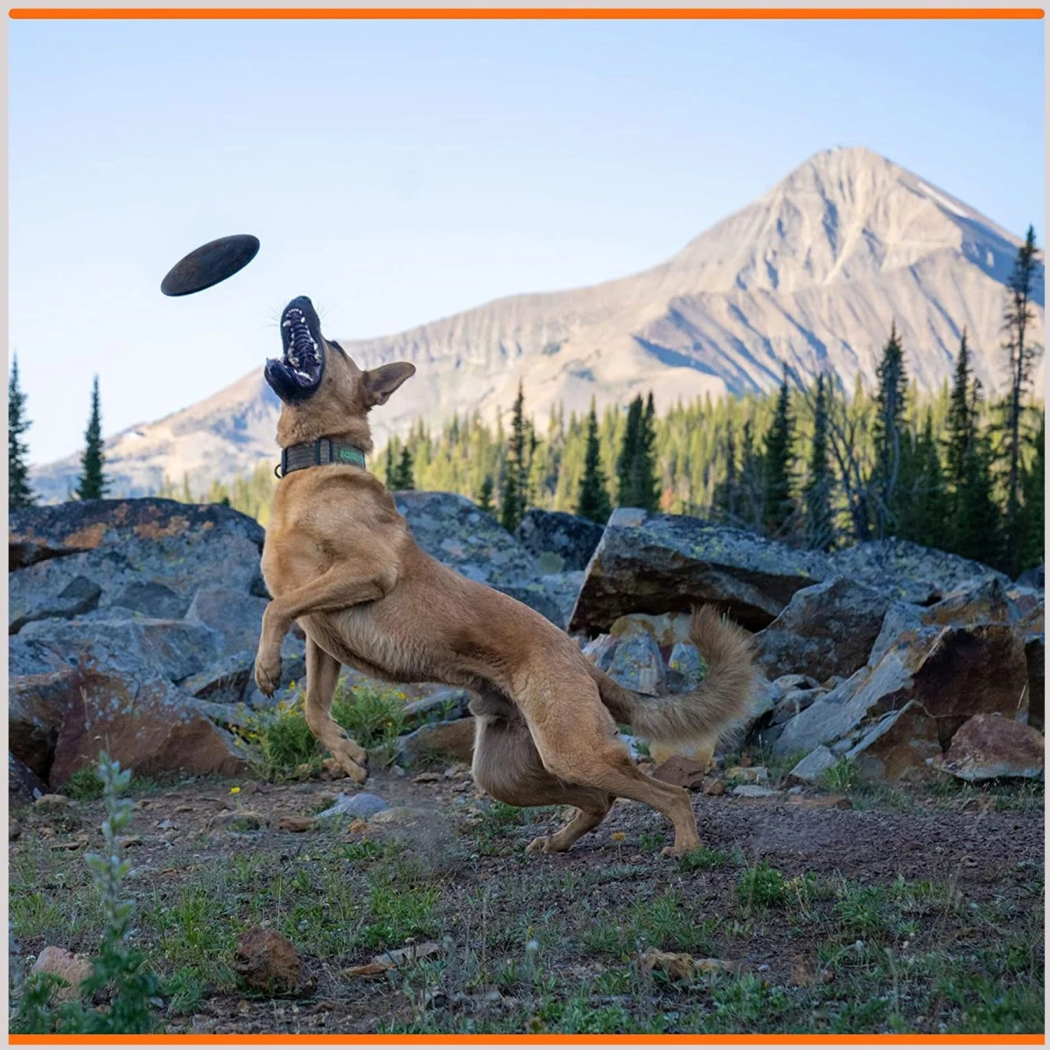 Monster K9 Dog Toys Indestructible Flying Disc Dog Toy 6 Monster K9 Dog Toys Indestructible Flying Disc Dog Toy - Image 4