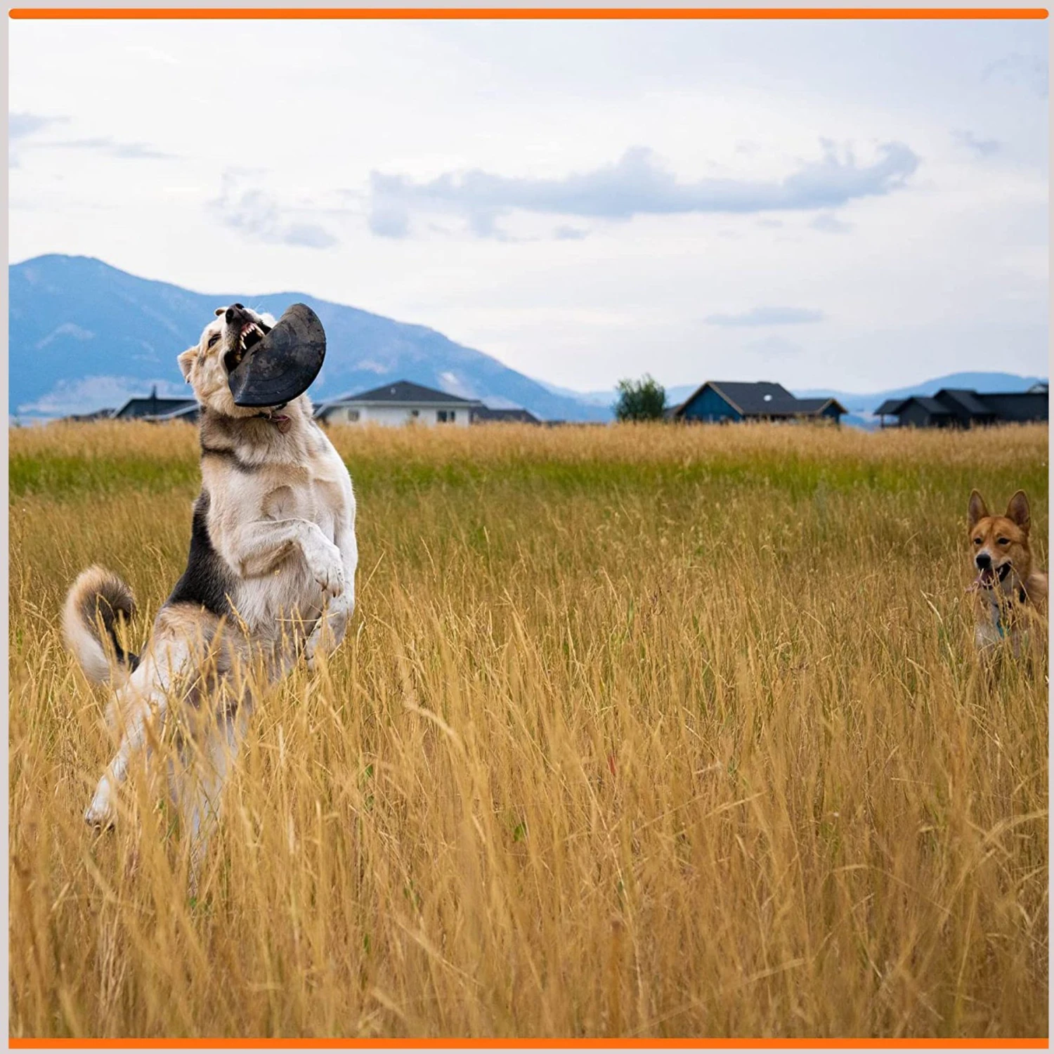 Monster K9 Dog Toys Indestructible Flying Disc Dog Toy 7 Monster K9 Dog Toys Indestructible Flying Disc Dog Toy - Image 5