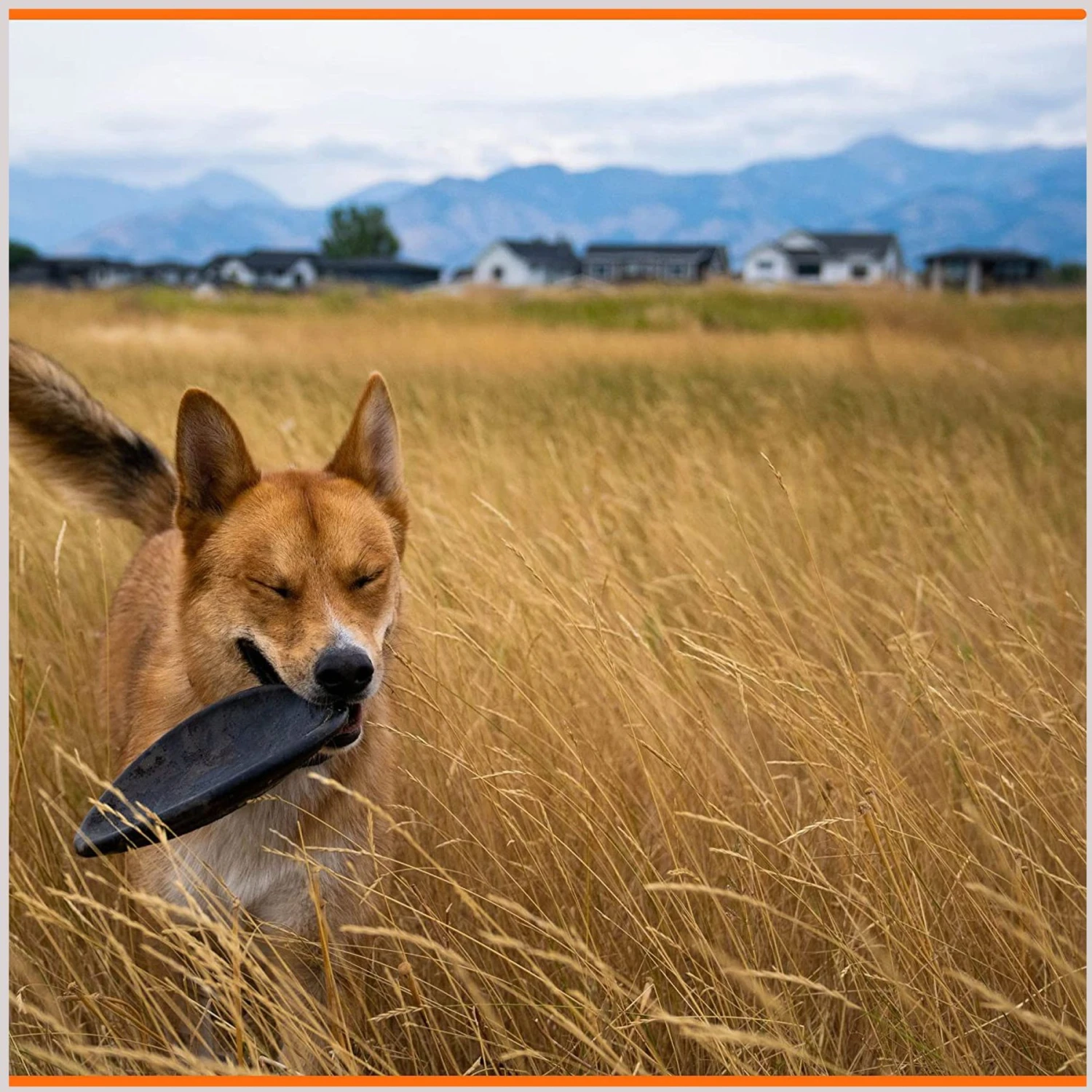 Monster K9 Dog Toys Indestructible Flying Disc Dog Toy 8 Monster K9 Dog Toys Indestructible Flying Disc Dog Toy - Image 6