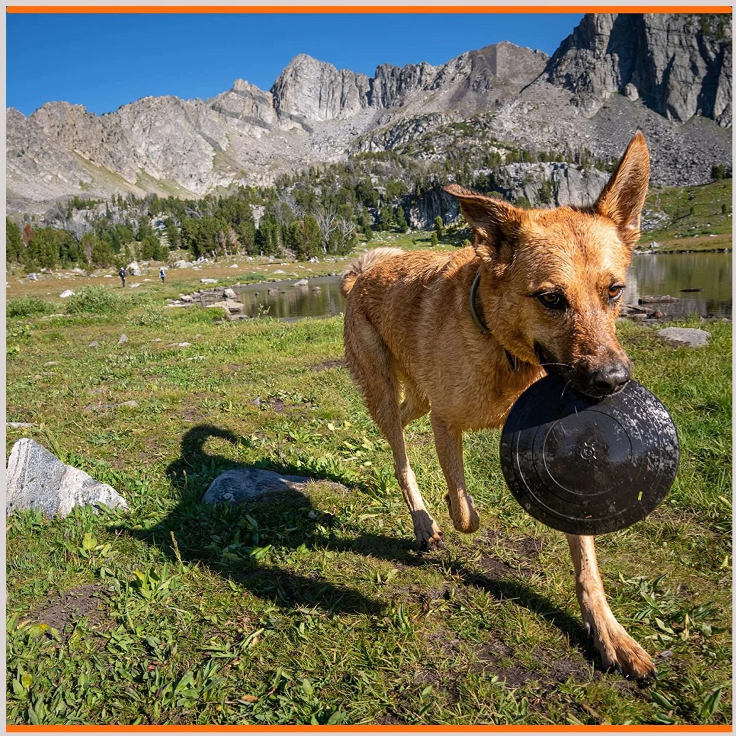 Monster K9 Dog Toys Indestructible Flying Disc Dog Toy 9 Monster K9 Dog Toys Indestructible Flying Disc Dog Toy - Image 7