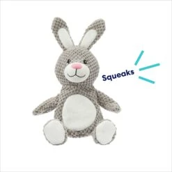 Frisco Bunny Textured Plush Squeaky Dog Toy -Pet Dog Toys 174693 PT2. AC SS1800 V1695670750